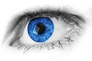 blue-eye-detail by Petr Kratochvil